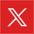 X Icon